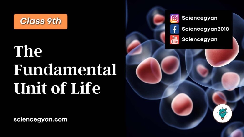 the fundamental unit of life quiz